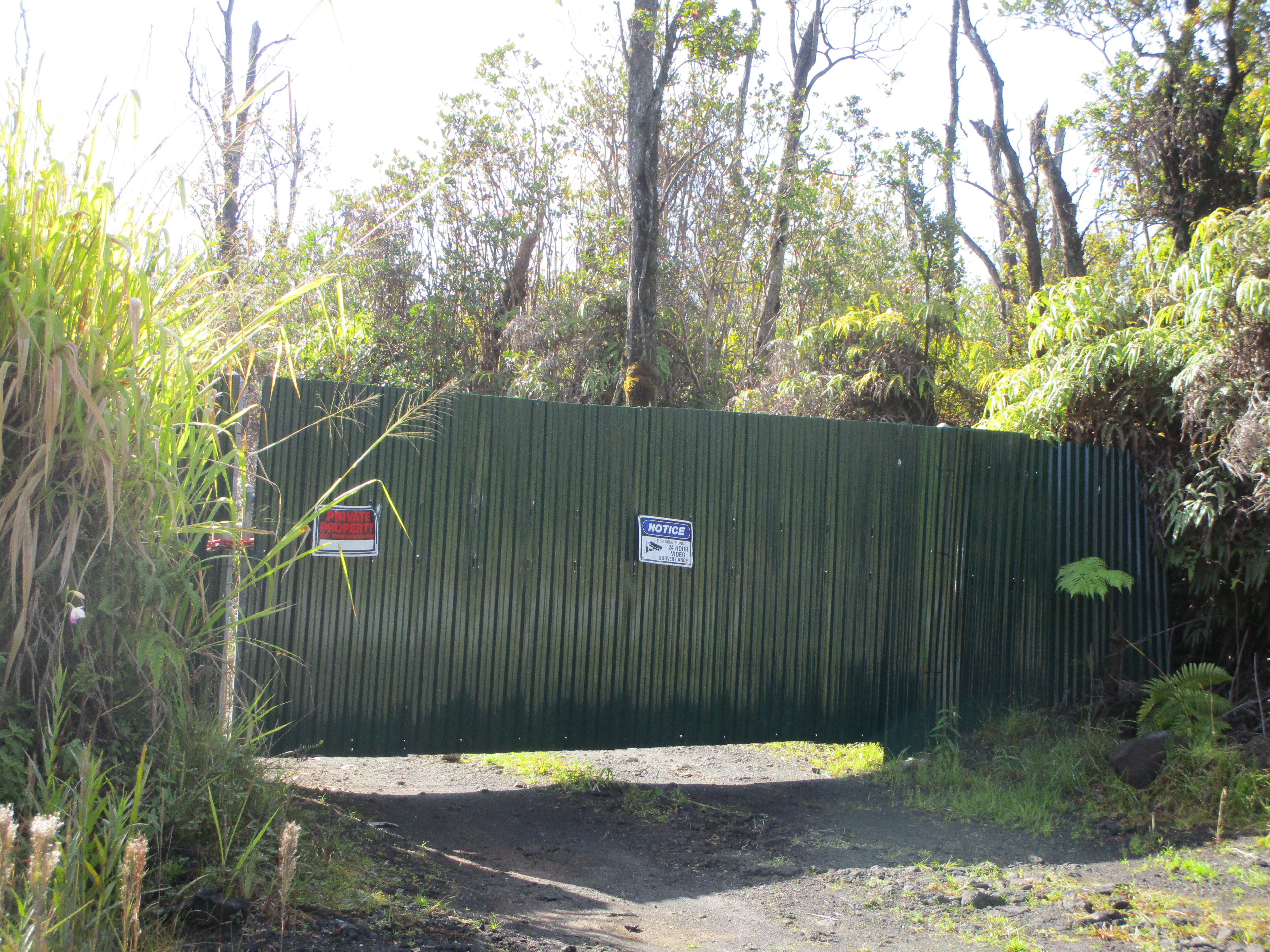 1 Kokokahi Road Mountain View, HI 96771 - Photo 27 of 27 a view of a park with large trees