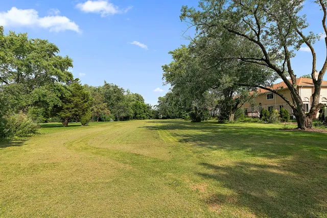 a view of a trees and basketball court