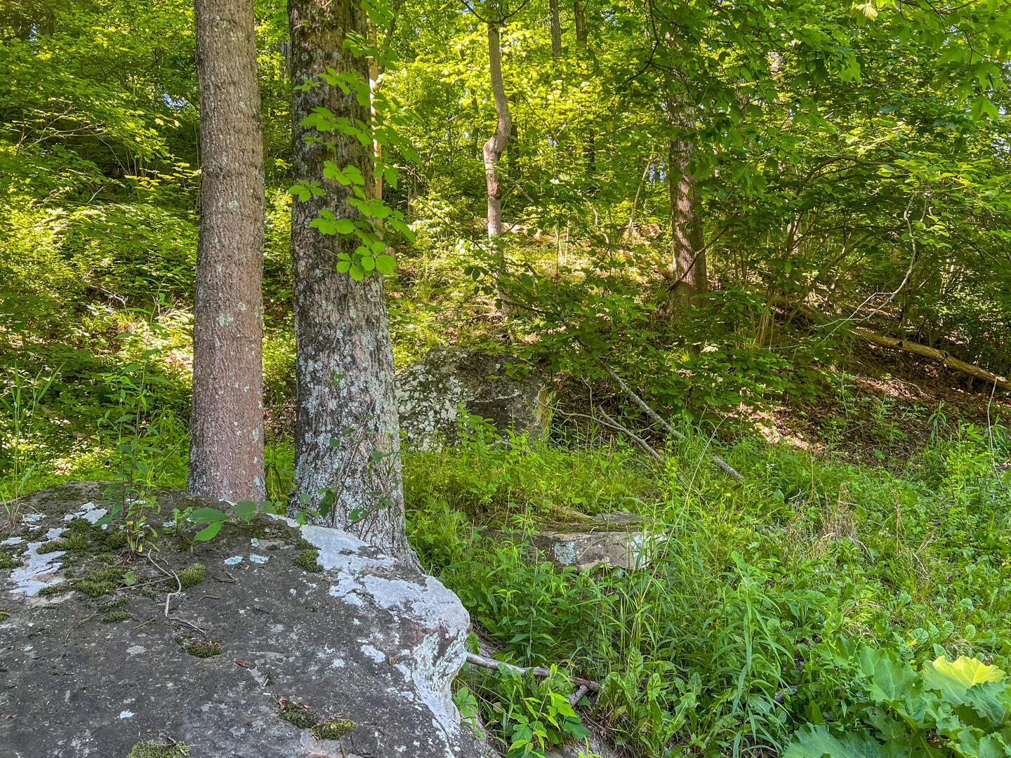 0 Rush Run Road Rayland, OH 43943 - Photo 20 of 24