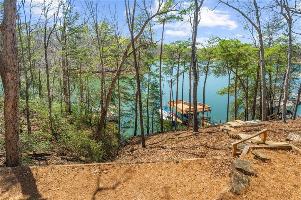9230 Four Mile Creek Road Gainesville, GA 30506 - Photo 57 of 67 a view of a chairs in a backyard of a house