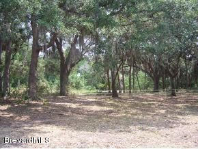 2820 Turtle Mound Road Melbourne, FL 32934 - Photo 4 of 8 PIC 2