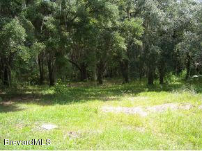 2820 Turtle Mound Road Melbourne, FL 32934 - Photo 5 of 8 Pic 3
