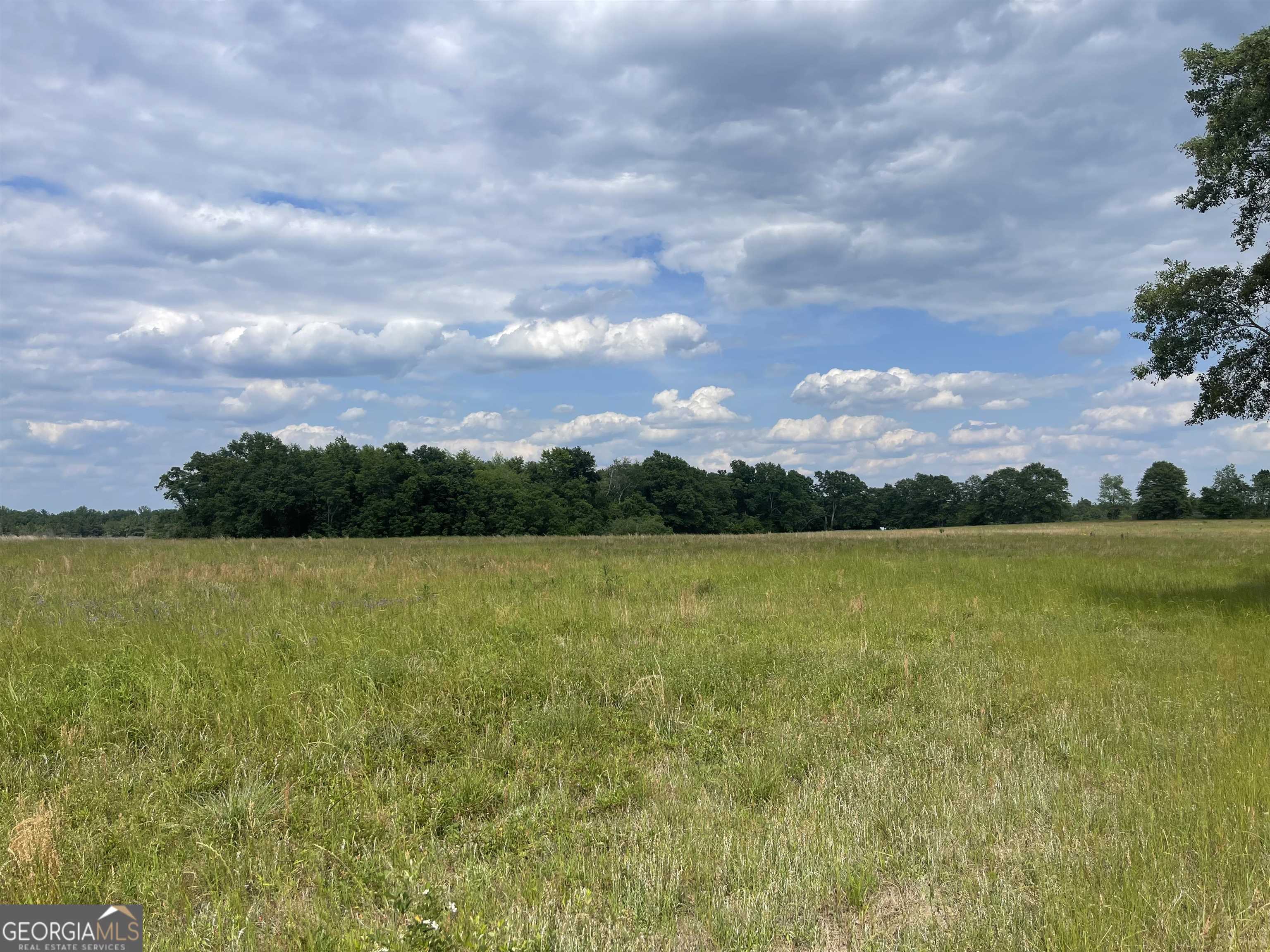 0 Jim Maloy Road McRae-Helena, GA 31037 - Photo 1 of 1 a view of an ocean and beach