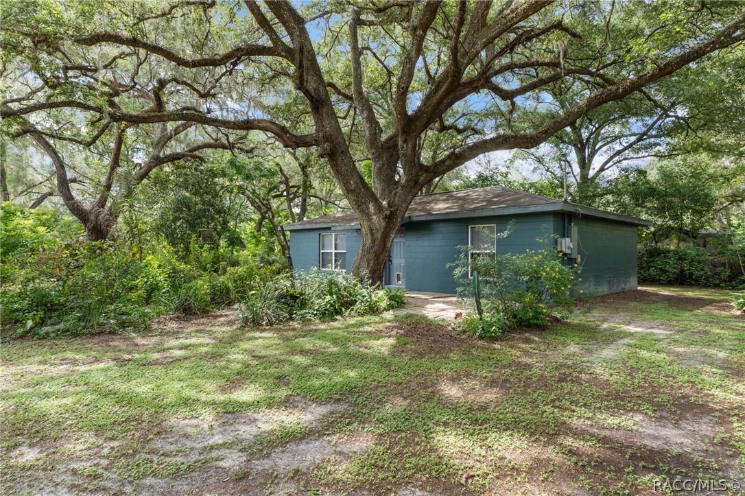 1317 Carl Street Inverness, FL 34453 - Photo 1 of 24