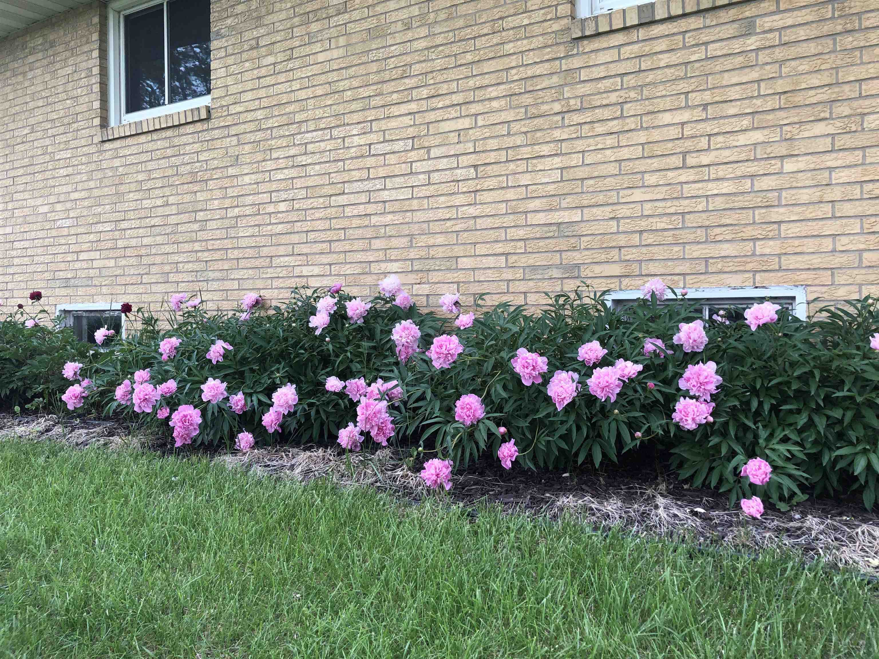 2315 Spring Rose Road Verona, WI 53593 - Photo 47 of 72