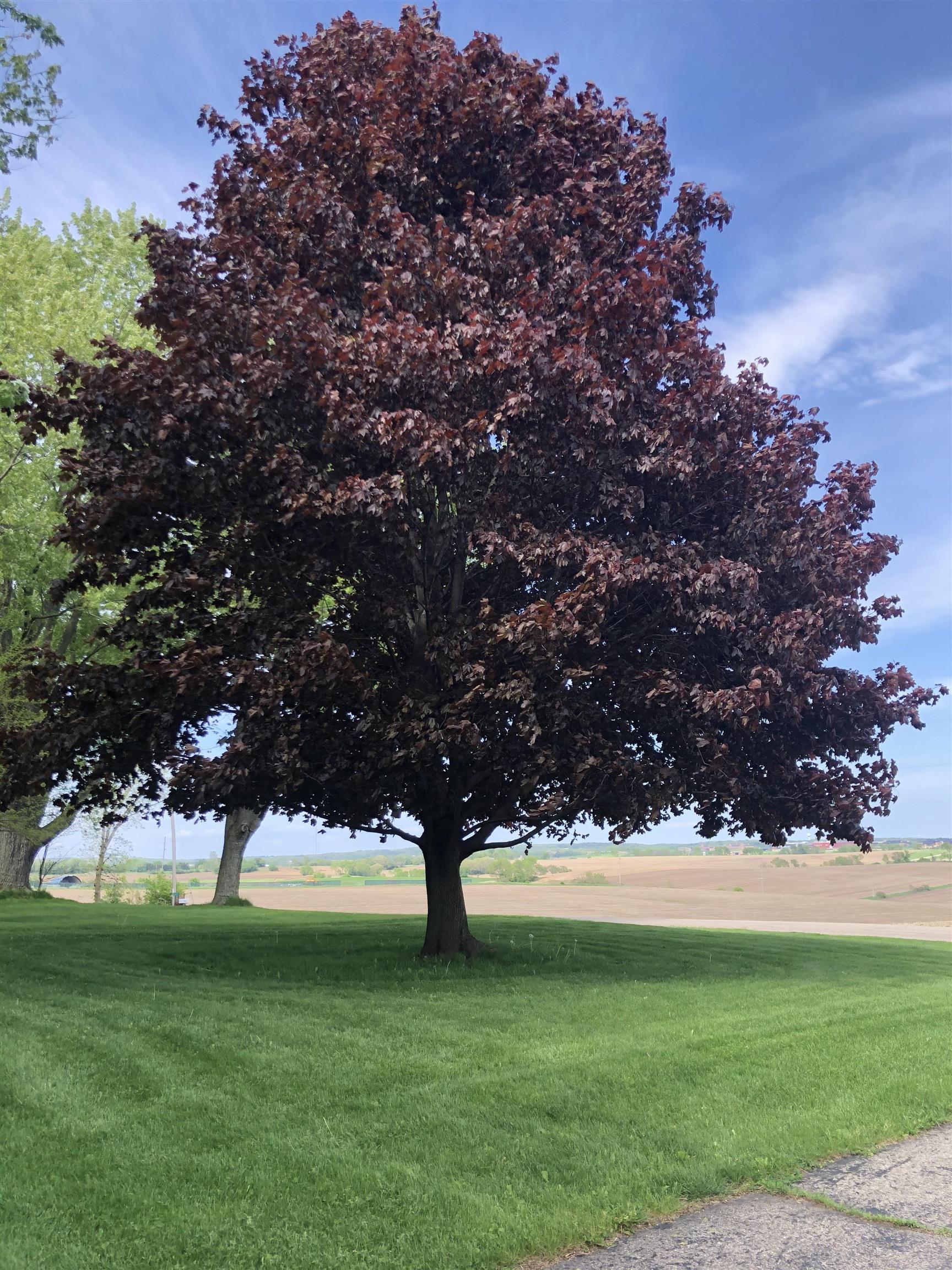 2315 Spring Rose Road Verona, WI 53593 - Photo 50 of 72