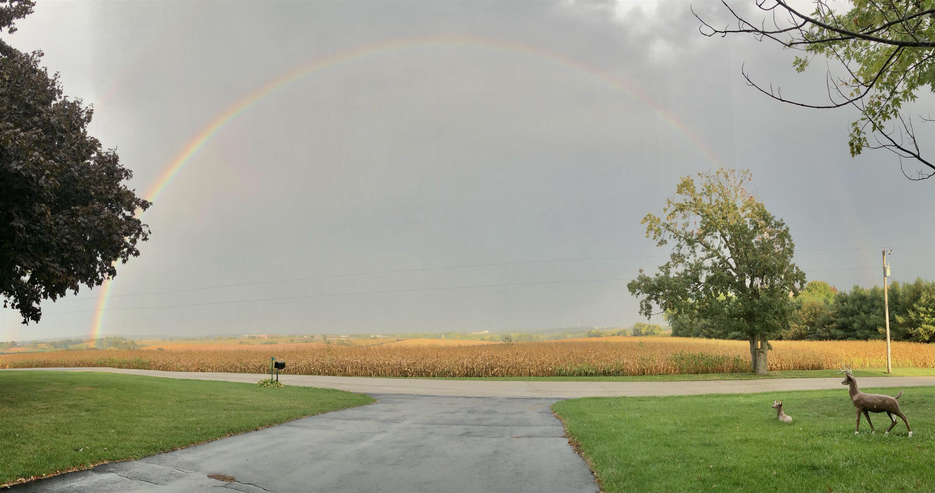 2315 Spring Rose Road Verona, WI 53593 - Photo 52 of 72
