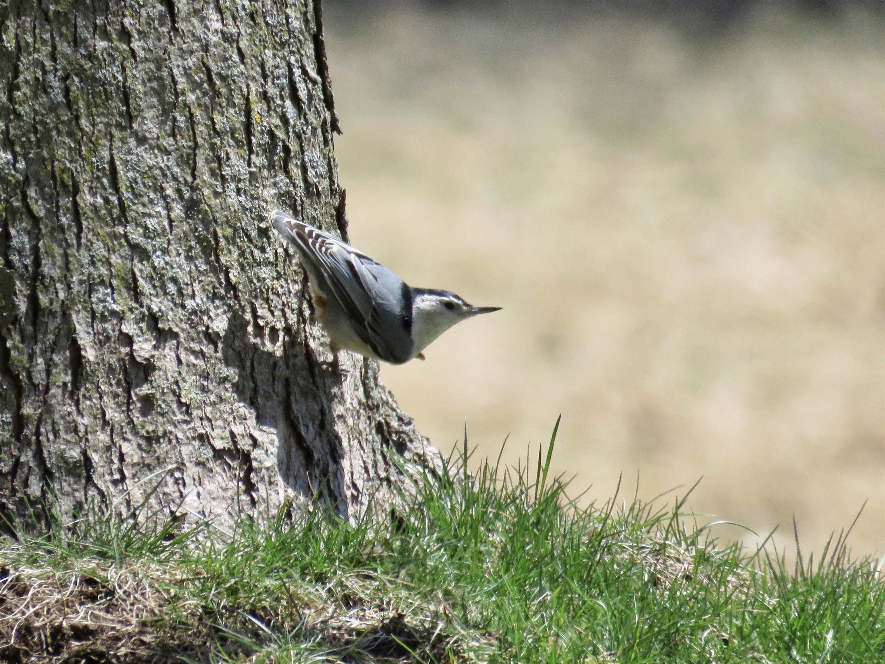 2315 Spring Rose Road Verona, WI 53593 - Photo 59 of 72