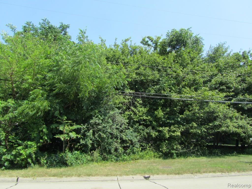0 Boucher Road Grosse Ile, MI 48138 - Photo 1 of 2
