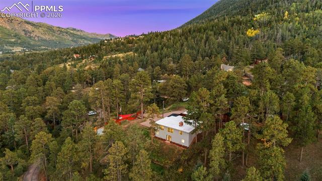 9450 Mohawk Trail Cascade, CO 80809 - Photo 8 of 47 Gallery Image 8