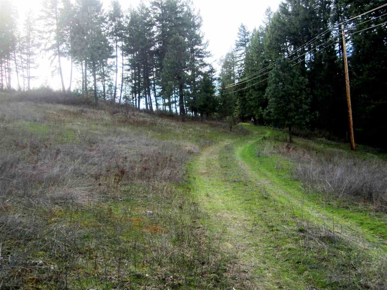 159-xx North Forker Road Spokane, WA 99021 - Photo 1 of 16
