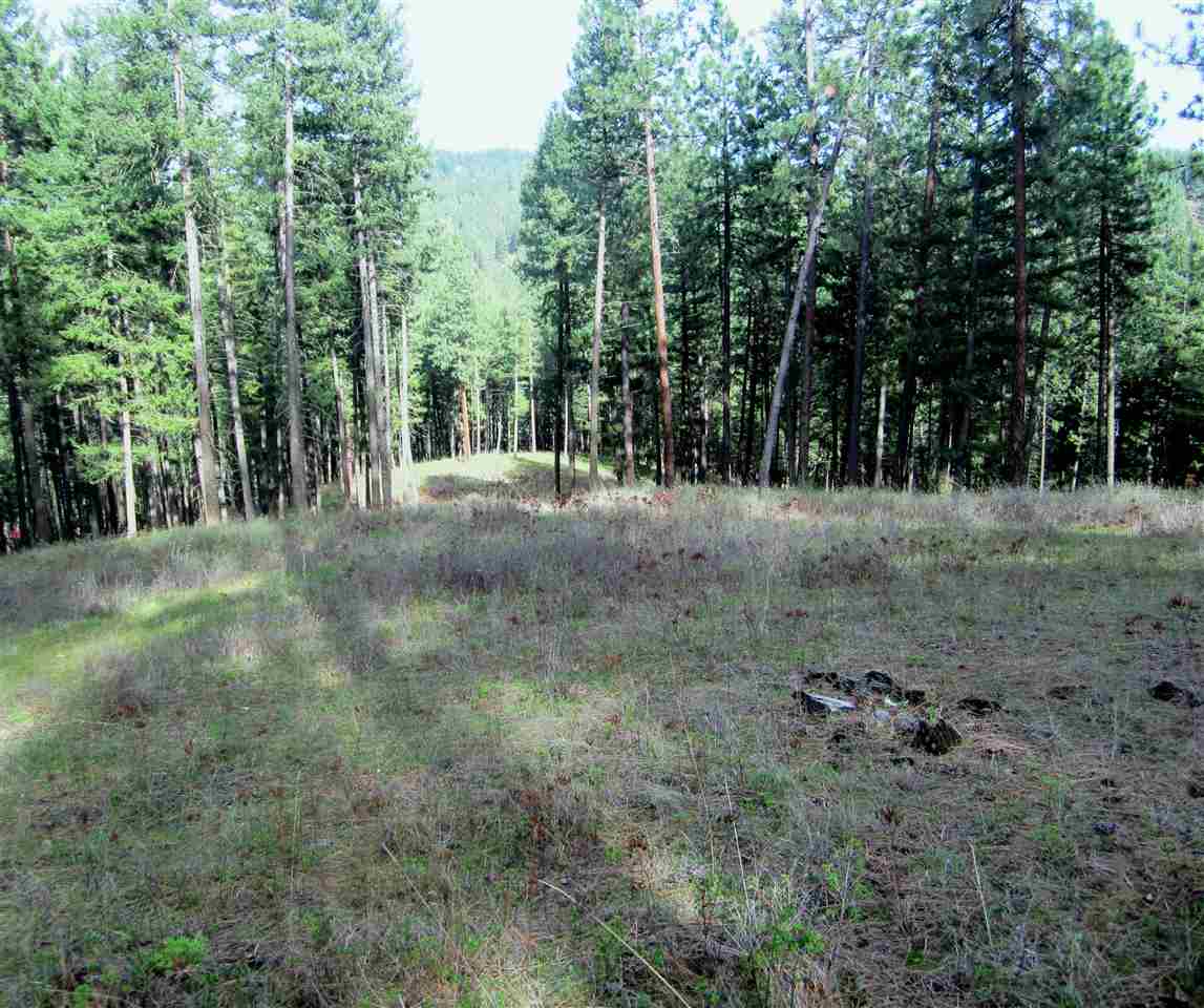 159-xx North Forker Road Spokane, WA 99021 - Photo 11 of 16