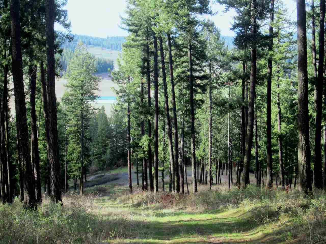 159-xx North Forker Road Spokane, WA 99021 - Photo 13 of 16
