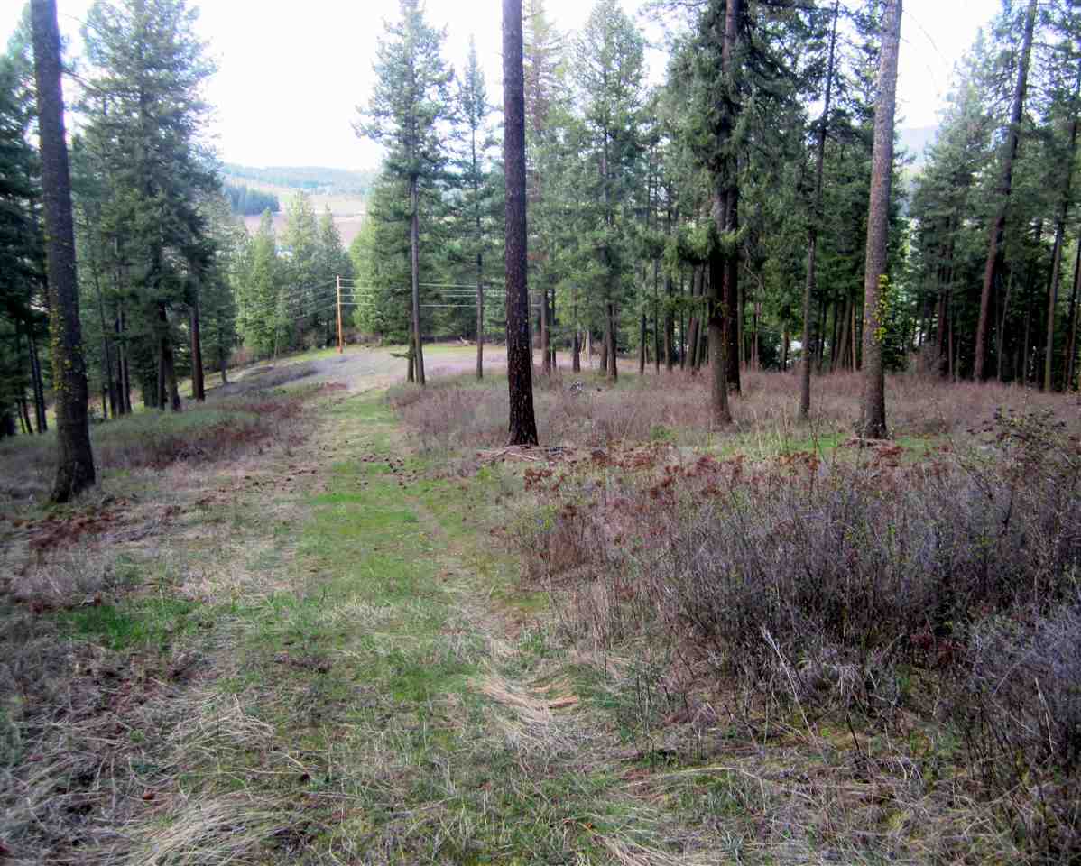 159-xx North Forker Road Spokane, WA 99021 - Photo 14 of 16