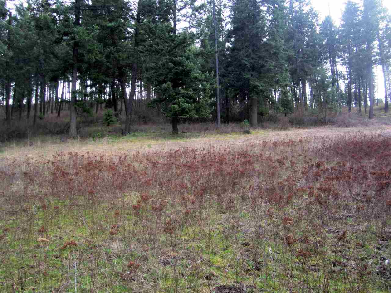 159-xx North Forker Road Spokane, WA 99021 - Photo 3 of 16