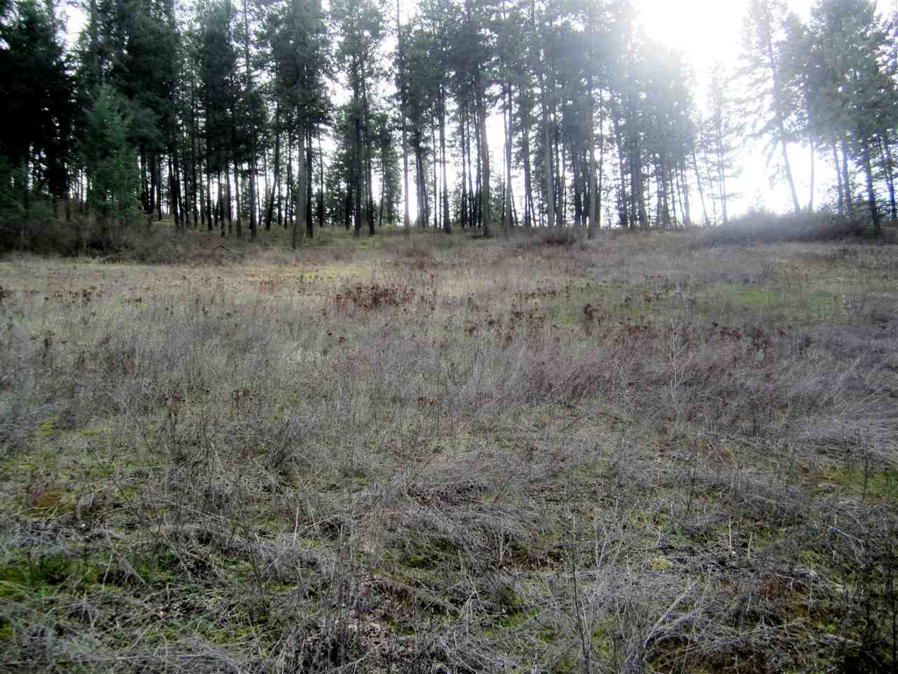 159-xx North Forker Road Spokane, WA 99021 - Photo 4 of 16