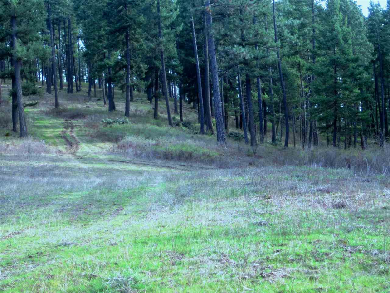 159-xx North Forker Road Spokane, WA 99021 - Photo 6 of 16