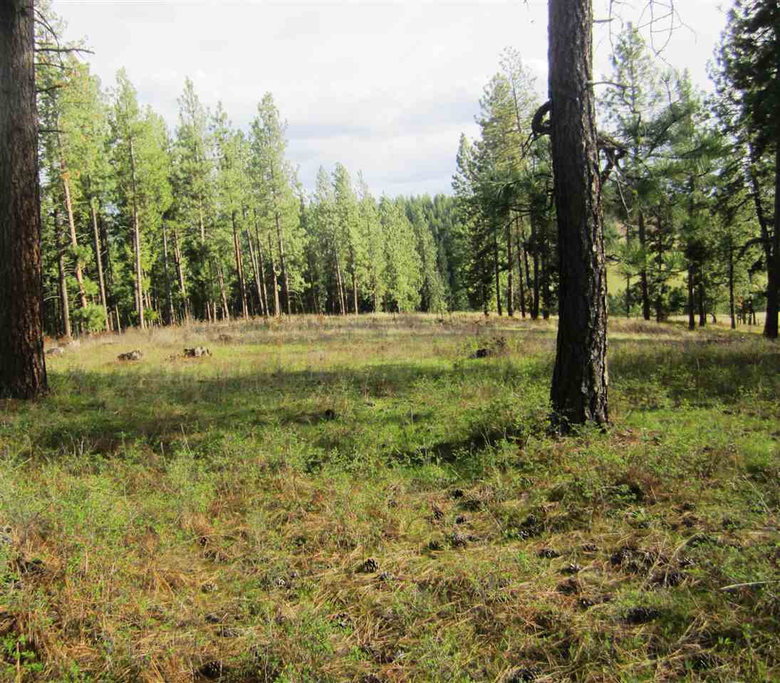 159-xx North Forker Road Spokane, WA 99021 - Photo 7 of 16
