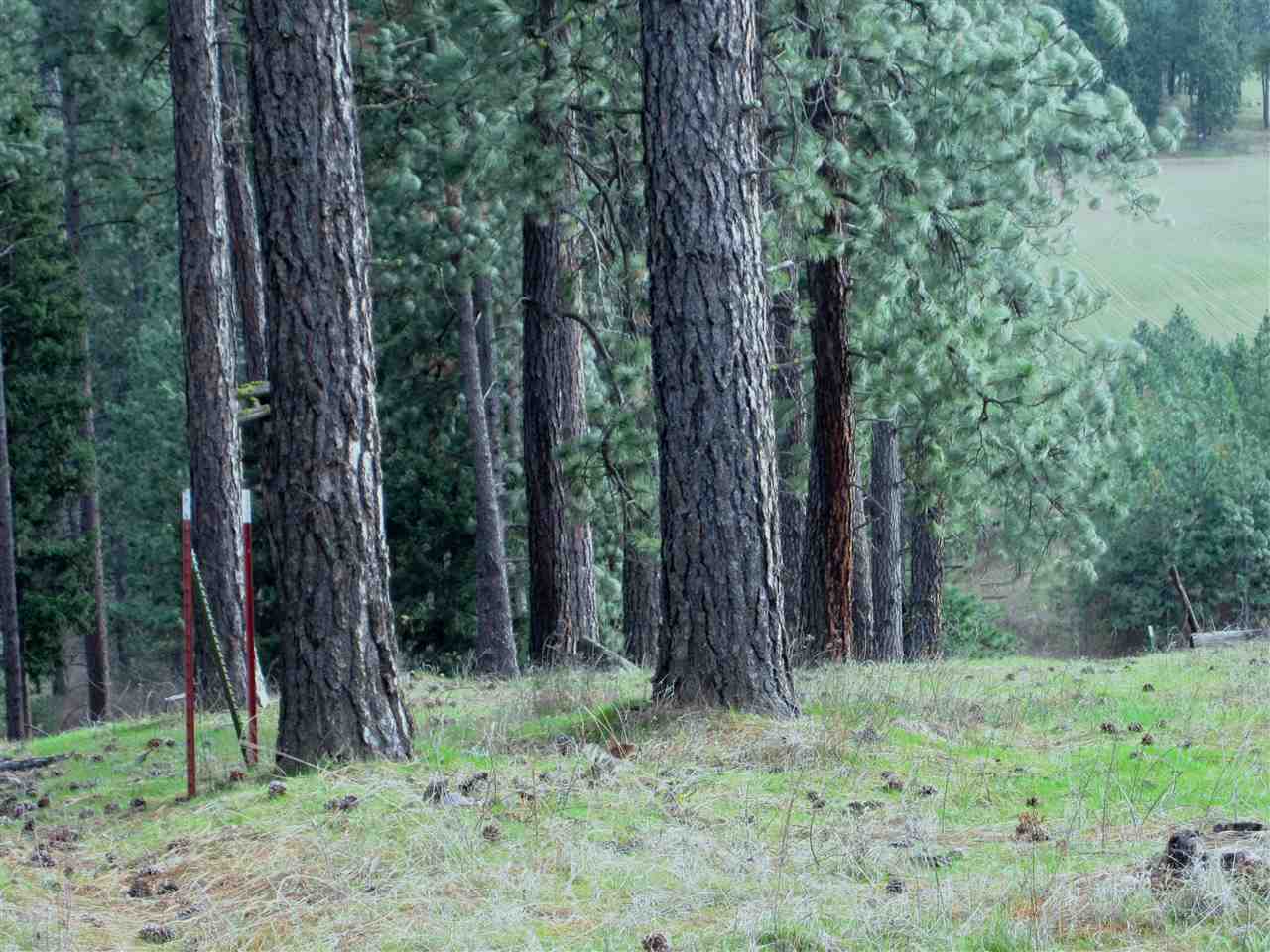 159-xx North Forker Road Spokane, WA 99021 - Photo 8 of 16