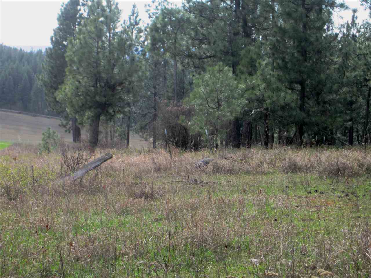 159-xx North Forker Road Spokane, WA 99021 - Photo 9 of 16