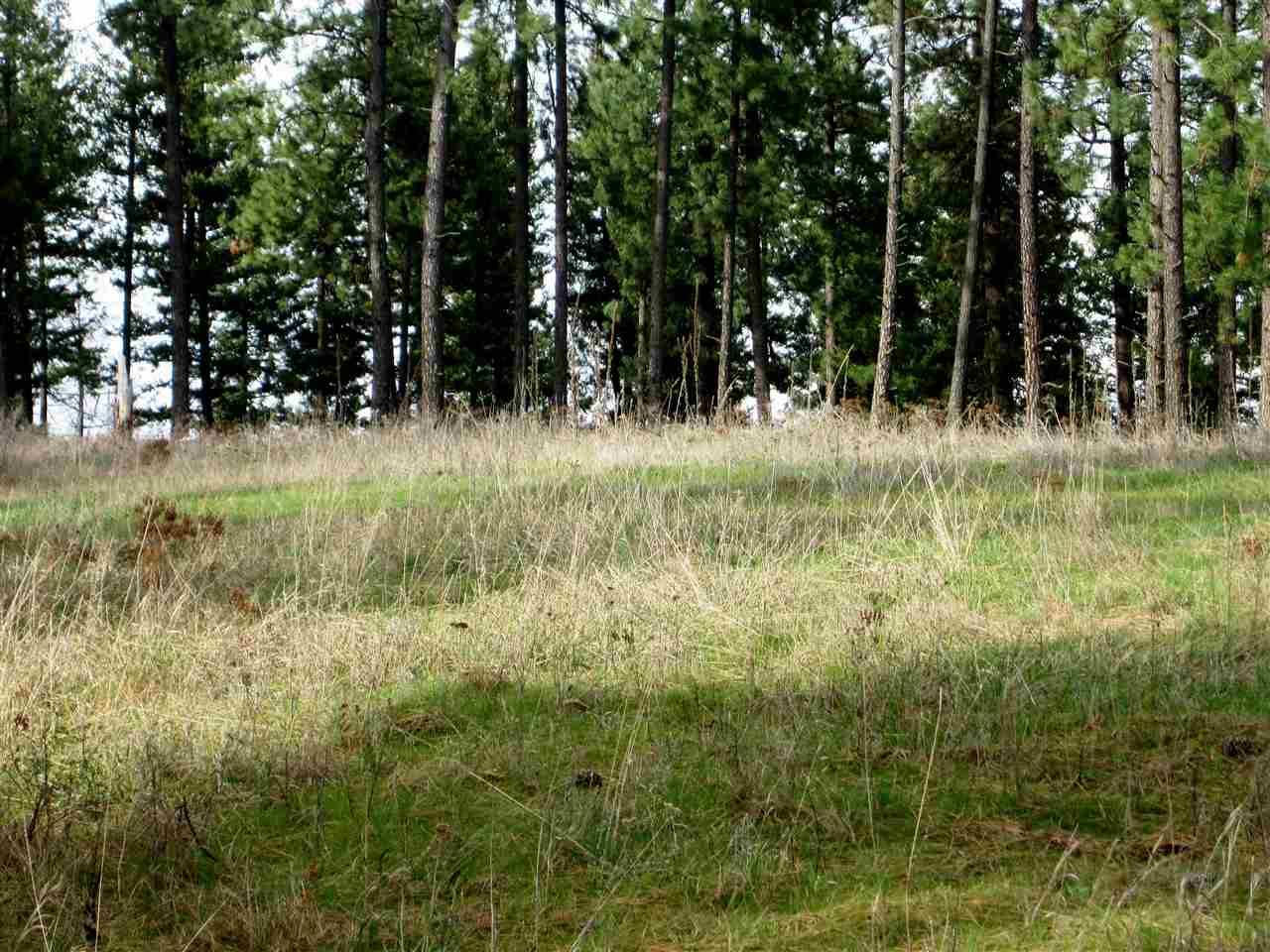 159-xx North Forker Road Spokane, WA 99021 - Photo 10 of 16