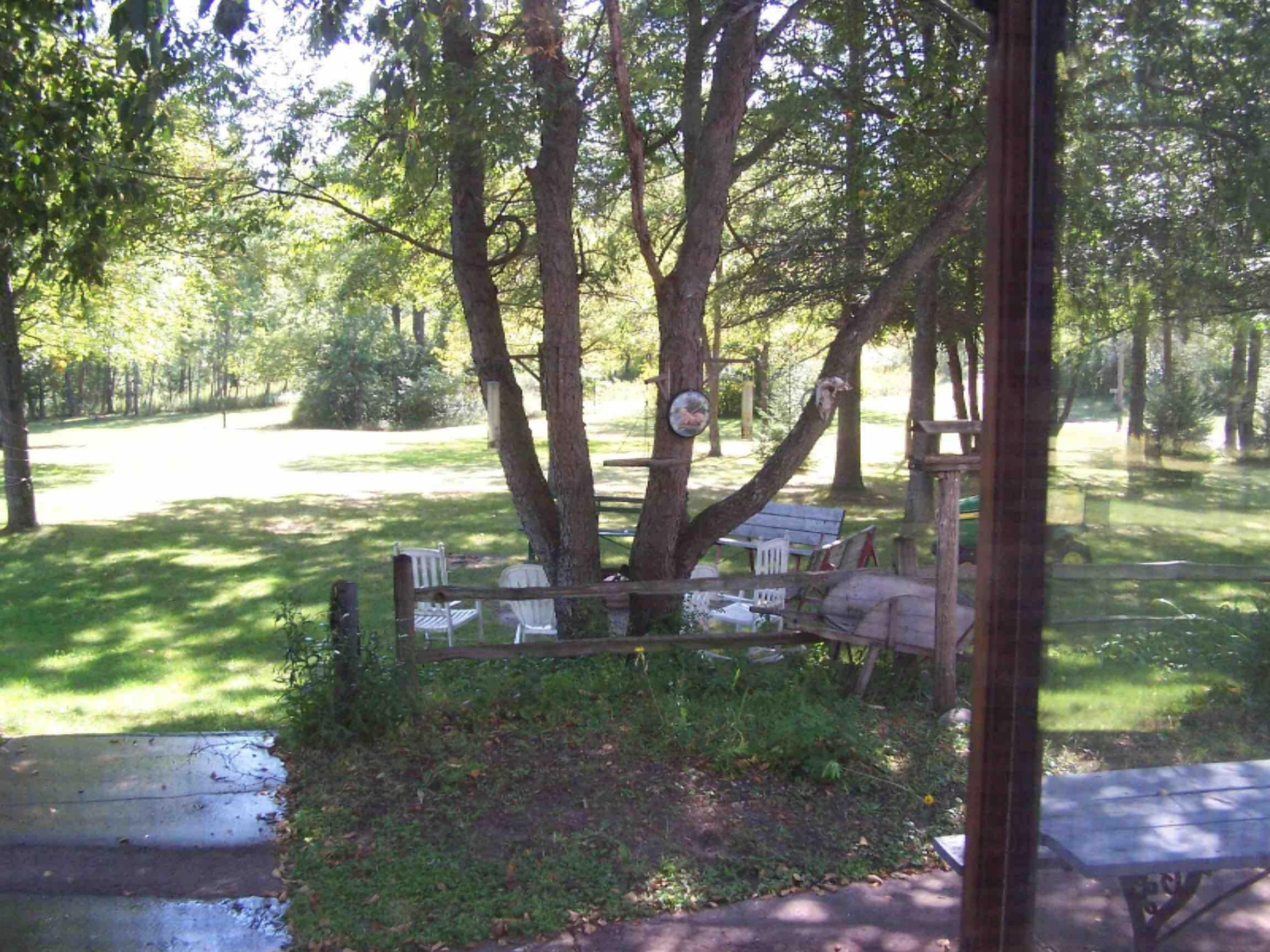 5350 West Buchanan Road Shelby, MI 49455 - Photo 49 of 49 IMG_1503