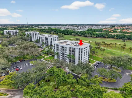a view of a playground with a palm trees