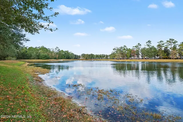 a view of a park with large trees