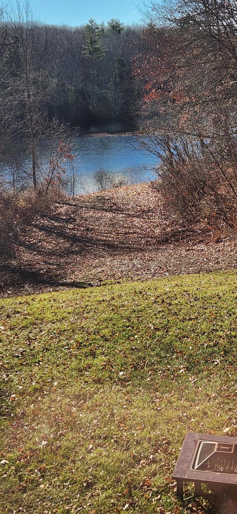 116 Old Falls Pond Road Alfred, ME 04002 - Photo 17 of 20 116 gradual walk to water