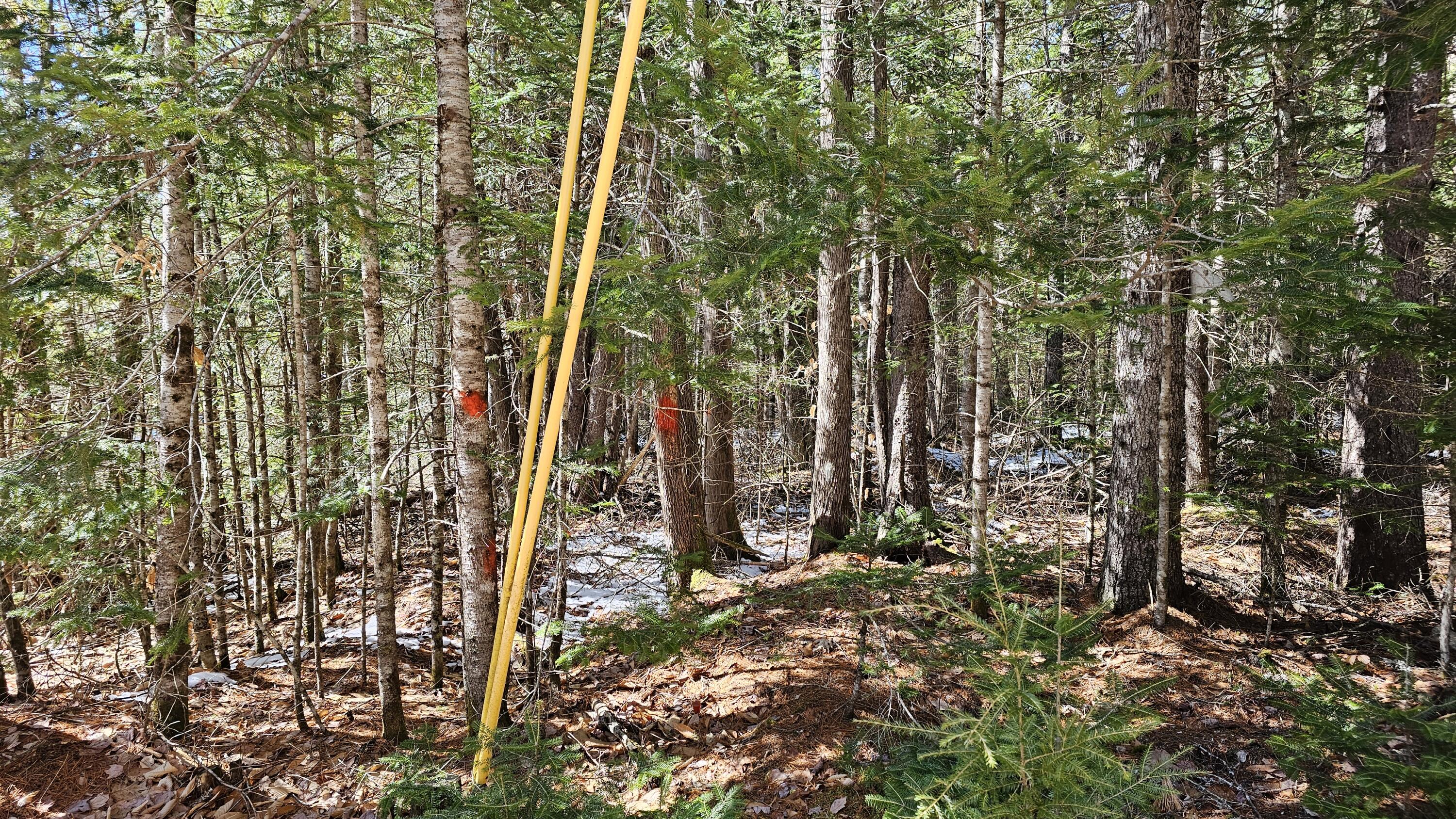 Lot #92 Smith Road Ellsworth, ME 04605 - Photo 9 of 18 Boundary