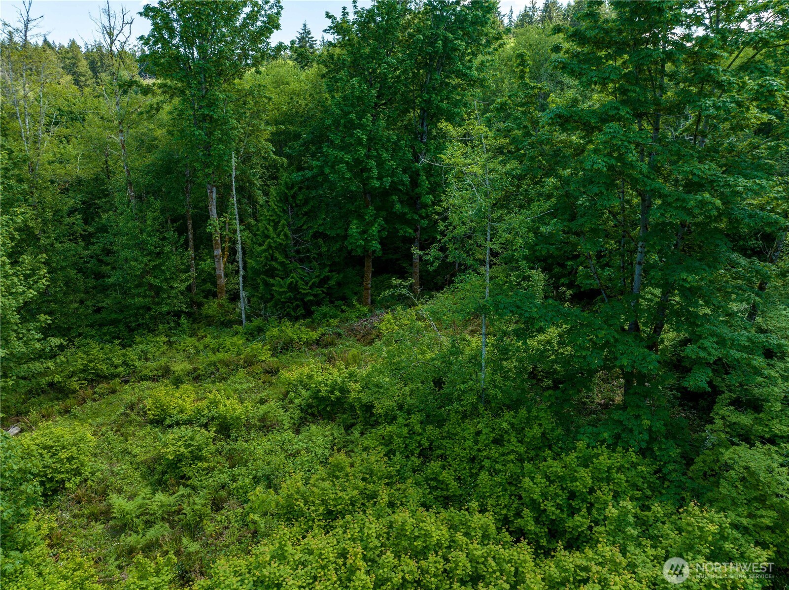 0 Valley Ridge Road Chehalis, WA 98532 - Photo 1 of 6 a view of outdoor space and green field