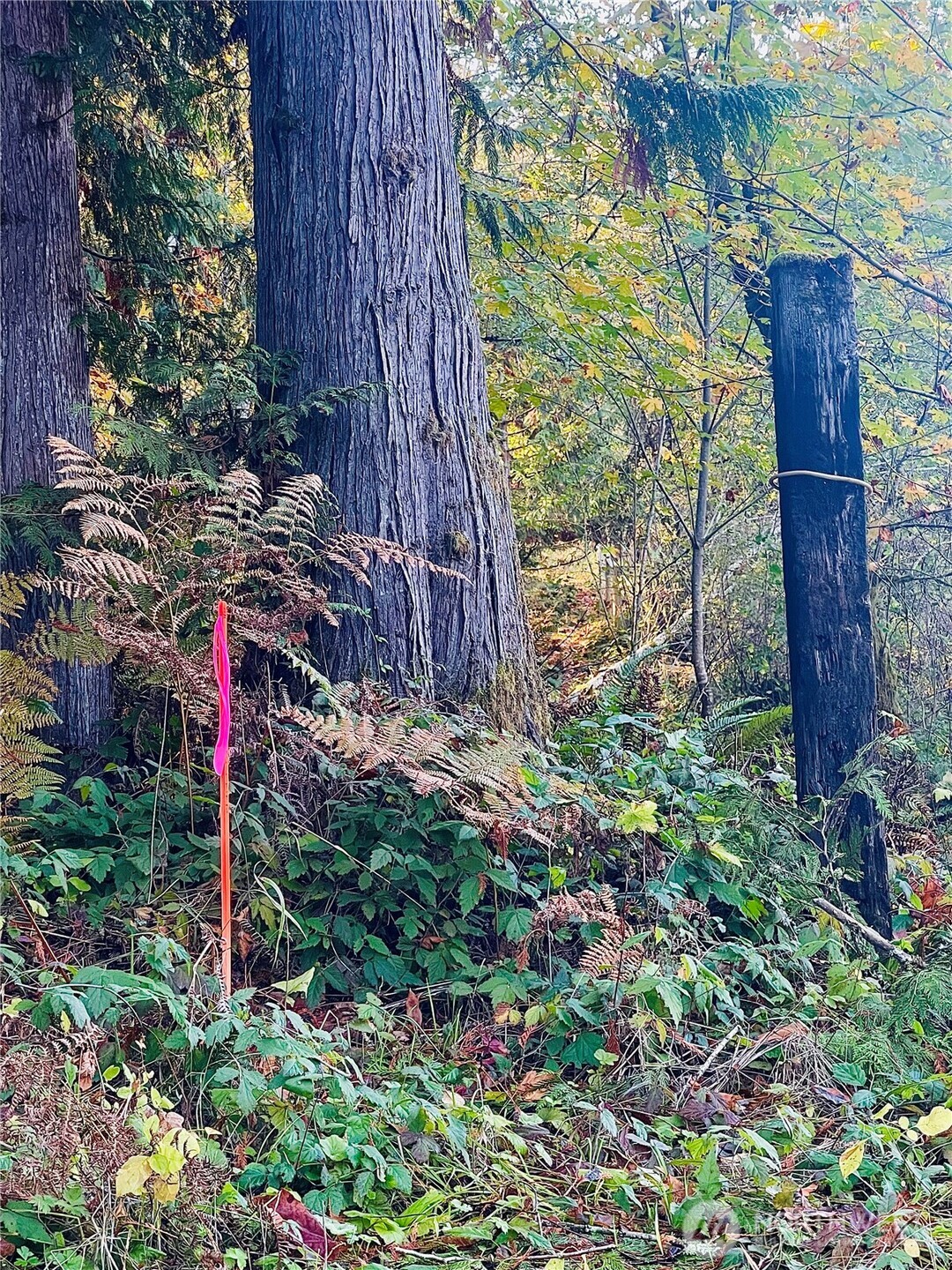 0 Valley Ridge Road Chehalis, WA 98532 - Photo 6 of 6 a view of a wooden house and a park