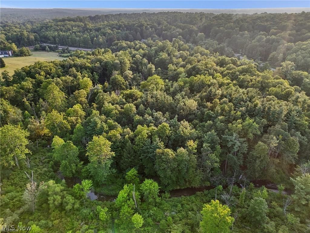 10571 Mayfield Road Chesterland, OH 44026 - Photo 35 of 39 Aerial view of river and mature woodlands behind the home.