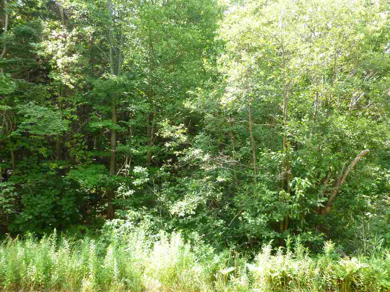 536 East Mountain Road, Unit 77 Killington, VT 05751 - Photo 9 of 10 Gallery Image 9