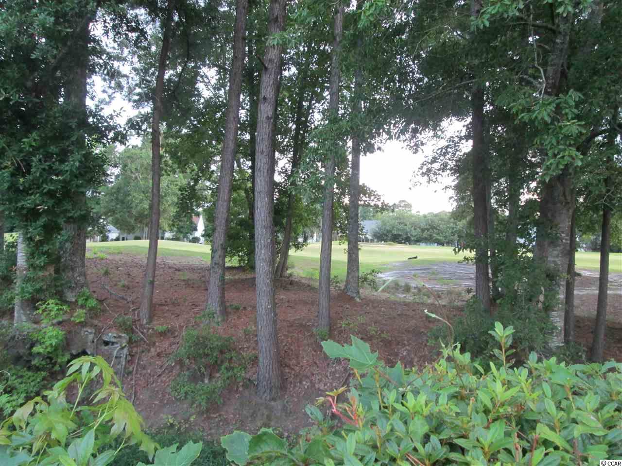 1638 Sedgefield Drive Murrells Inlet, SC 29576 - Photo 29 of 30 Gallery Image 29