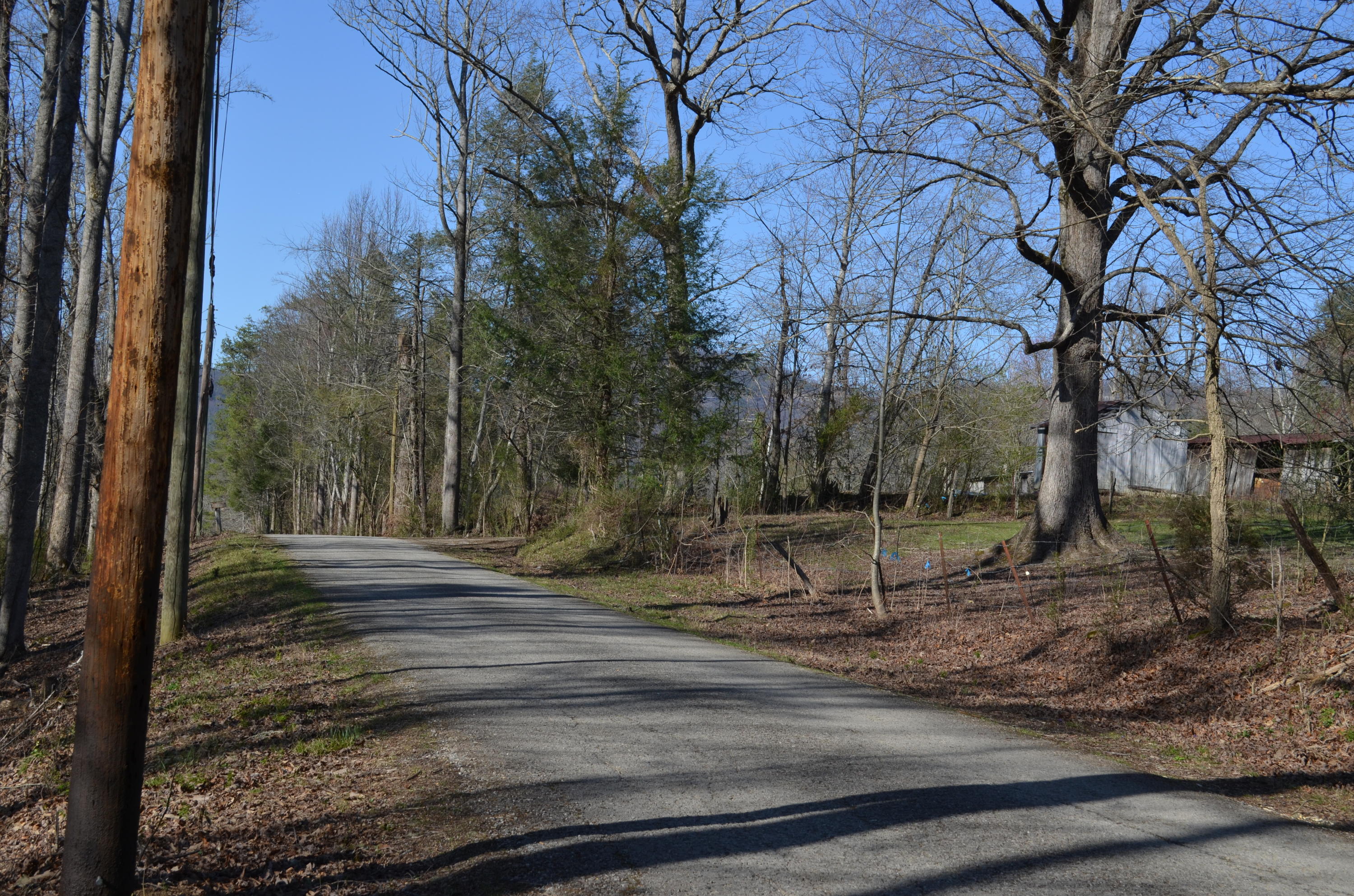 Tom Henry Road Townsend, TN 37882 - Photo 6 of 10 DSC_0293