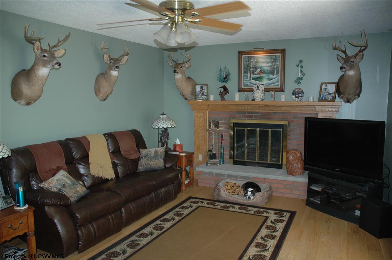 617 Stony Run Road Buckhannon, WV 26201 - Photo 11 of 20 Gallery Image 11