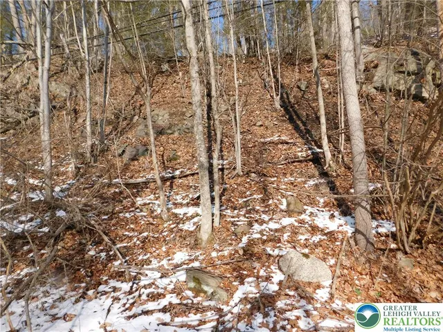 $29,900 | 0 Claremont Avenue, Tamaqua, PA 18252