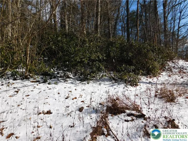 a view of lot of snow