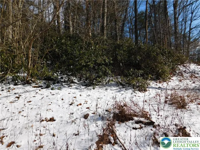 $29,900 | 0 Claremont Avenue, Tamaqua, PA 18252