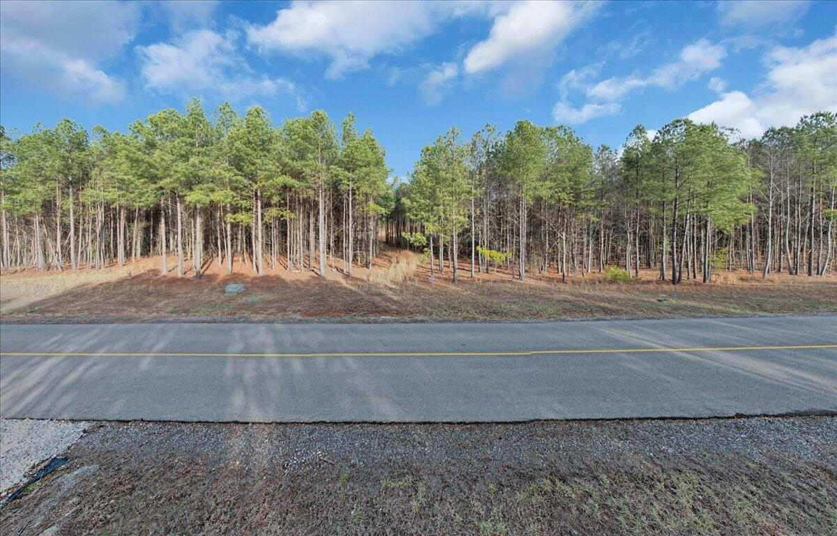 0 Waterwheel Way, Unit JF 344 Jasper, TN 37347 - Photo 3 of 27 03-DJI_0041