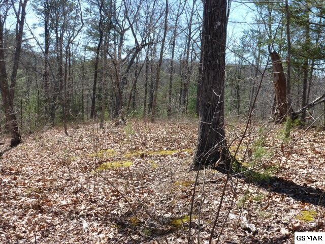 129 Rocking Chair Lane Sevierville, TN 37862 - Photo 7 of 16 Gallery Image 7