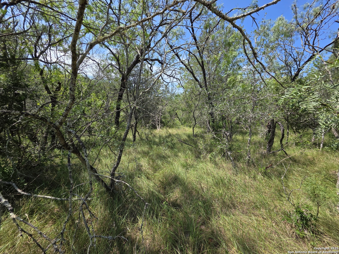 525 Marrou Road Seguin, TX 78155 - Photo 4 of 14 a view of a yard