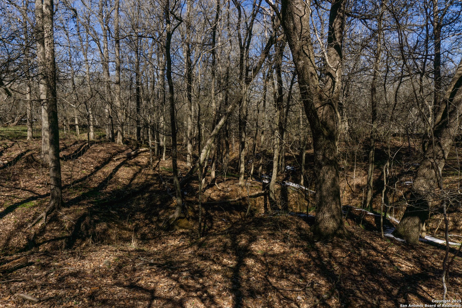 525 Marrou Road Seguin, TX 78155 - Photo 8 of 14 a view of a yard