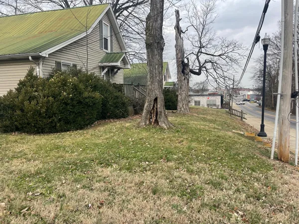 a backyard of a house with lots of green space