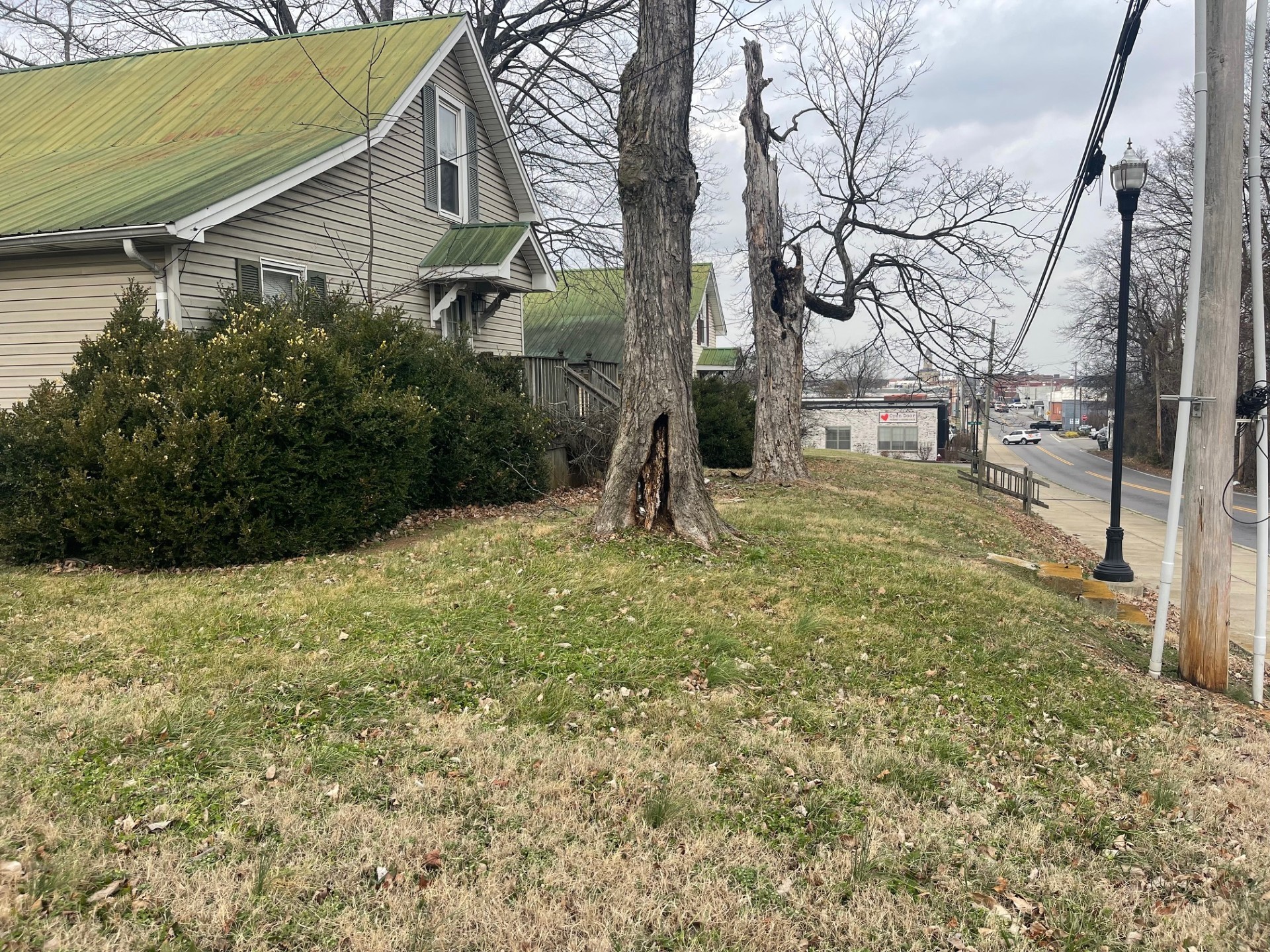 a backyard of a house with lots of green space