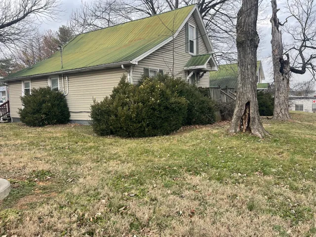 a view of backyard of house