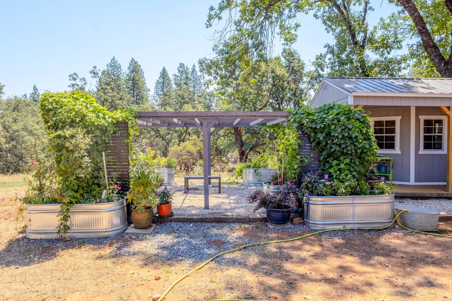 27689 Table Meadow Road Auburn, CA 95602 - Photo 62 of 72 a view of a patio with a table and chairs and potted plants