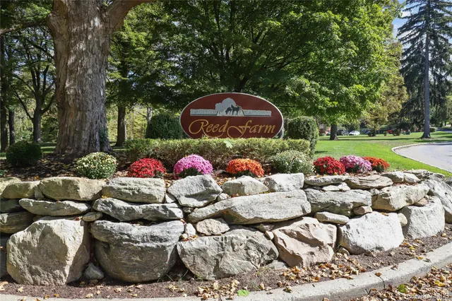 a parking space covered with tall trees