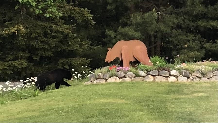 269 Rollins Road Newbury, NH 03255 - Photo 30 of 39